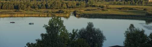 Pfäffikersee Riet