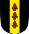 Wappen der Stadt Wetzikon